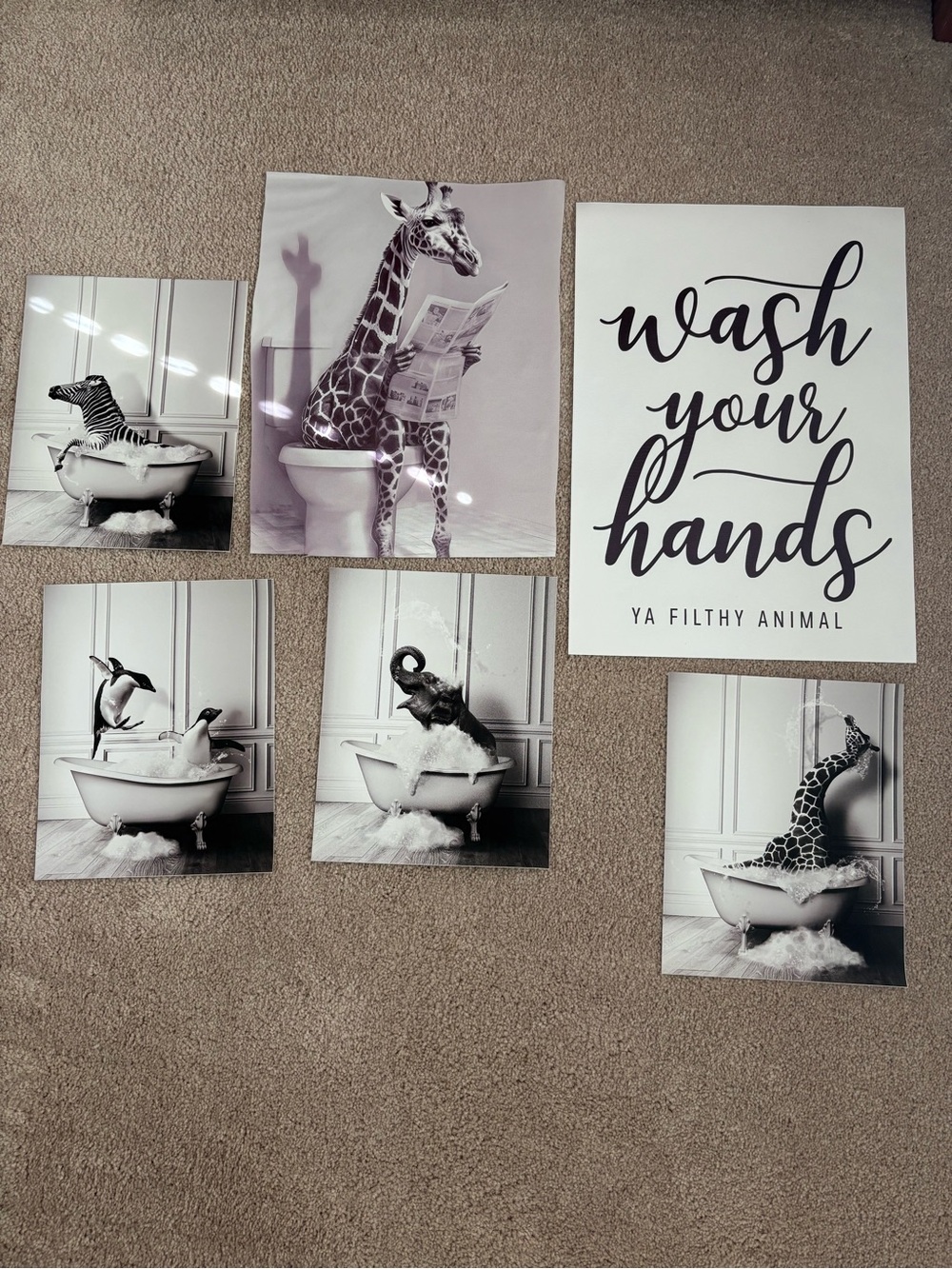 Animal Black & White Wall Art Prints